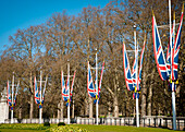 UK,England,Union Jacks in front of Buckingham Palace,London