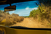 Brazil,Pernambuco,Car journey,Fernando de Noronha