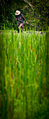 Worker On Rice Field,Ubud,Bali,Indonesia