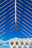 Blick durch ein Detail des Regenschirms auf das Museu De Les Ciencies Principe Felipe in der Stadt der Künste und Wissenschaften, Valencia, Spanien