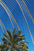Palm Tree And Cloud In Umbracle In Ciudad De Las Artes Y Las Ciencias (City Of Arts And Sciences),Valencia,Spain.