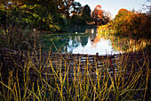 Teich im Greenwich Park im Herbst, Greenwich, London, England, Großbritannien
