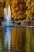 Herbst Im St. James's Park,London,England,Vereinigtes Königreich
