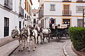 Horse Drawn Wagon In Santa Cruz District,Seville,Andalucia,Spain