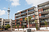 Wohnungen mit Turm im Hintergrund,Neuseeland