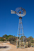 Windmühle mit Zaun,Namibia