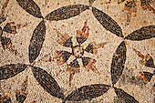Mosaic Flooring Inside The Roman Baths,Djemila,Algeria