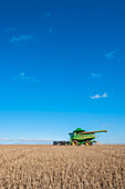 Crop Gathering In Santa Barbara Do Sul,Rio Grande Do Sul,Brazil