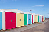 Gebäude mit bunten Türen in einer Reihe am Strand,Devon,England