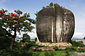 Die Rückseite eines riesigen Fabelwesens in der Nähe der unvollendeten Mingun-Pagode, die durch ein Erdbeben zerstört wurde, Mandalay, Birma