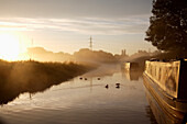 Nebeliger Herbstmorgen auf dem Staffs And Worcs Canal, Swindon, Wiltshire, England