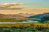 Schöne Landschaft des Lamar Valley am Abend im Yellowstone National Park, Wyoming, Vereinigte Staaten von Amerika