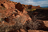 Hiking trail through Johnson Canyon,part of Snow Canyon State Park,behind the Red Mountain Spa around St George Town with dry bushes sticking out of the red,rock cliffs,St George,Utah,United States of America