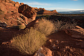 Hiking trail through Johnson Canyon,part of Snow Canyon State Park,behind the Red Mountain Spa around St George Town with dry bushes on the red rock cliffs,St George,Utah,United States of America