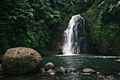 Seven Sisters Waterfalls umgeben von üppiger Vegetation mit großen Felsbrocken im Tauchbecken im Grand Etang National Park,Grand Etang National Park & Forest Reserve,Grenada,Karibik
