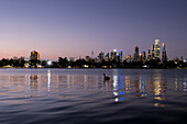 Skyline von Melbourne mit Albert Park Lake im Vordergrund und einem einsamen Schwan, der in der Dämmerung schwimmt, Melbourne, Victoria, Australien
