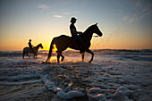Cowboys ride their horses at sunrise along Virginia Beach in First Landing State Park,Virginia,USA,Virginia Beach,Virginia,United States of America