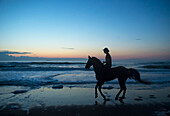 Cowboy reitet sein Pferd bei Sonnenaufgang am Virginia Beach im First Landing State Park,Virginia,USA,Virginia Beach,Virginia,Vereinigte Staaten von Amerika