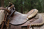 Nahaufnahme eines auf ein Pferd geschnallten Ledersattels mit Bäumen im Hintergrund im King's Canyon National Park, Kalifornien, Vereinigte Staaten von Amerika