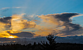 Dramatischer Wintersonnenuntergang mit Virga-Wolken und Waldsilhouette, Olympia, Washington, Vereinigte Staaten von Amerika