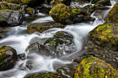 Langzeitbelichtung des rauschenden Wassers, der Felsen und des Mooses der Bunch Falls in der Nähe des Lake Quinault im Olympic National Forest, Amanda Park, Washington, Vereinigte Staaten von Amerika