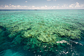 Great Barrier Reef im Korallenmeer, Queensland, Australien