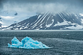 Drift ice in the Hornsund fjord,Spitsbergen,Svalbard,Norway