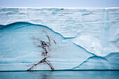 Abstract human-like stain mars the purity in the ice wall of the Nordaustlandet ice cap,Nordaustlandet,Svalbard,Norway