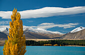 Herbstliche Szene am Lake Tekapo, Südinsel, Südinsel, Neuseeland