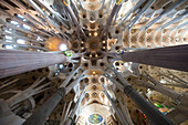 Teil des Deckengewölbes der Kathedrale Sagrada Familia, Barcelona, Spanien