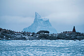 Chinstrap penguin colony (Pygoscelis antarctica) and bust of Luis Pardo at Point Wild on Elephant Island,Antarctica