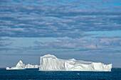 Eisberg schwimmt im Ilulissat-Eisfjord, Grönland