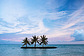 Palm trees on a small island floating in the ocean,Apia,Samoa