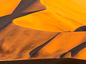 Die späte Nachmittagssonne verleiht den Sanddünen im Namib-Naukluft-Park, Sossusvlei, Namibia, einen goldenen Farbton