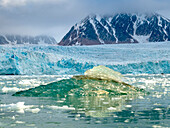 Eis vom Boden eines Eisbergs auf der Wasseroberfläche, Spitzbergen, Svalbard, Norwegen