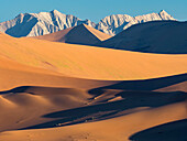 Sand dunes glow golden in late afternoon light in Namib-Naukluft Park,Sossusvlei,Namibia