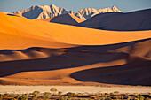 Sanddünen und die Naukluft-Berge im späten Nachmittagslicht im Namib-Naukluft-Park, Sossusvlei, Namibia