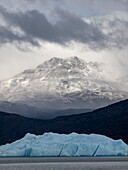 Eisberge vor dem Grey Glacier, der vom südlichen patagonischen Eisfeld im Torres del Paine National Park, Patagonien, Chile, herunterkommt