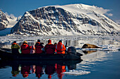 Ökotouristen beobachten ein weibliches Walross (Odobenus rosmarus) auf dem Eis, Hornsund, Spitzbergen, Svalbard Archipelago, Norwegen