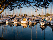 Boats mooring in a harbour,Chichester,Sussex,England