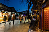 Nanluoguxiang Hutong bei Nacht, Bezirk Dongcheng, Peking, China