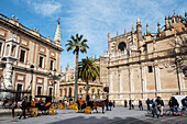 Plaza del Triunfo, mit der Kathedrale von Sevilla auf der rechten Seite und dem Generalarchiv der Indios auf der linken Seite, Sevilla, Spanien