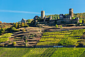 Old stone castle on top of a hill with rows of vineyards along steep slopes with blue sky,Alken,Germany