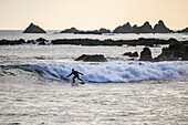 Surfen in der Abenddämmerung in der Houghton Bay, Wellington, Neuseeland