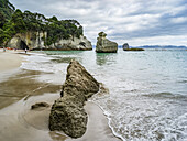 Die berühmte Cathedral Cove, die nur zu Fuß oder mit dem Boot zu erreichen ist, gehört zu den absoluten Muss-Sehenswürdigkeiten auf dem Coromandel. Schwimmer genießen den Strand und spielen im Wasser, Waikato Region, Neuseeland