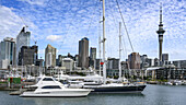 Yachten und Segelboote im Hafen von Auckland, mit Blick auf den Sky Tower und den Central Business District, Auckland, Region Auckland, Neuseeland