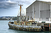 Fishing boat decorated with drawings of birds and marine life docked in Lambton Harbour,Wellington,North Island,New Zealand