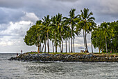 People fishing and picnicking at a park with palm trees along the coast of Australia,Australia