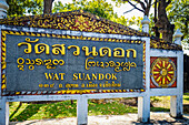 Schild am Eingang des Wat Suandok in thailändischer und englischer Sprache, Chiang Mai, Thailand, Chiang Mai, Provinz Chiang Mai, Thailand