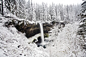 Waterfall in a snowy landscape with frosted foliage and snow-covered forest
